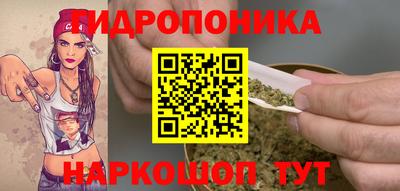 сатива Краснознаменск