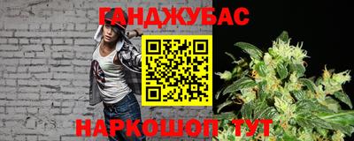 сатива Краснознаменск