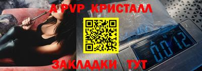 прущие грибы Краснодар