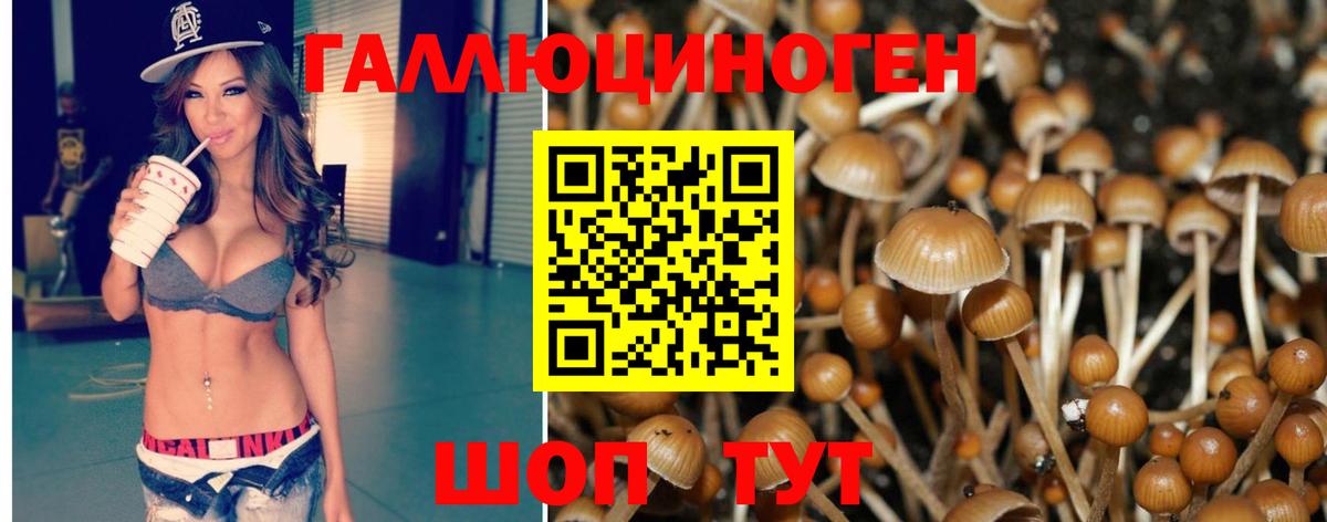 Галлюциногенные грибы Psilocybe  Псилоцибиновые грибы Cubensis  Вход с VPN  Кимры 